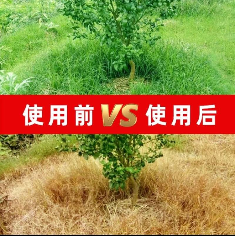 20%草铵膦强力除草剂烂根剂草胺磷果园杂草一扫光草胺磷