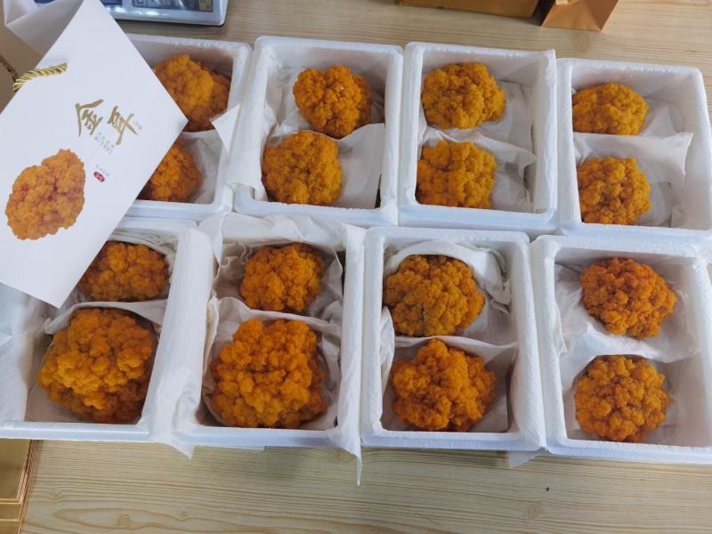 金耳是一种真菌类植物，也是一种食物。金耳是耳包革。