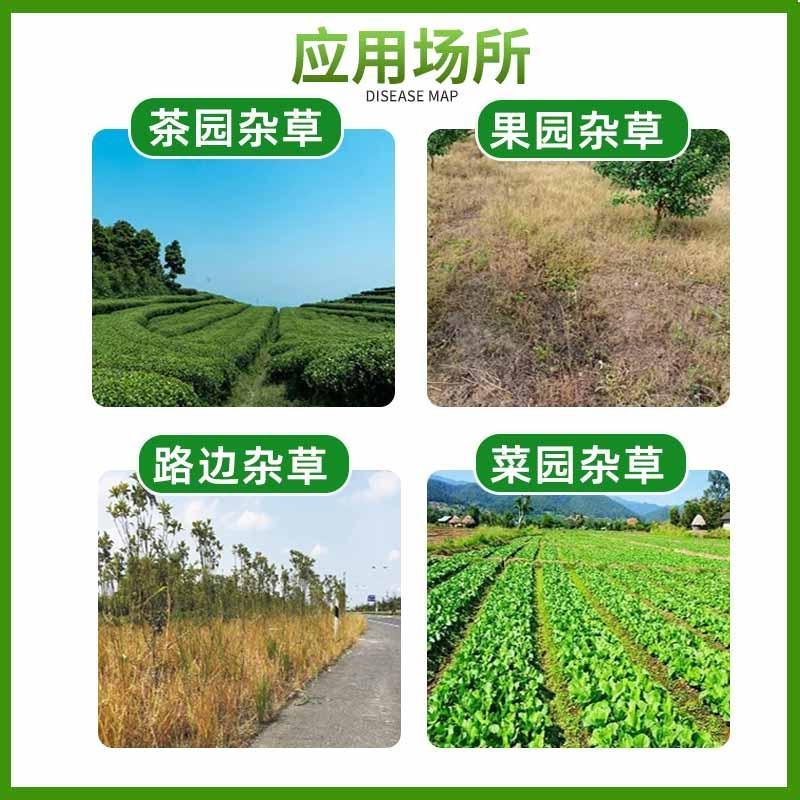 20%草铵膦强力除草剂烂根剂草胺磷果园杂草一扫光草胺磷
