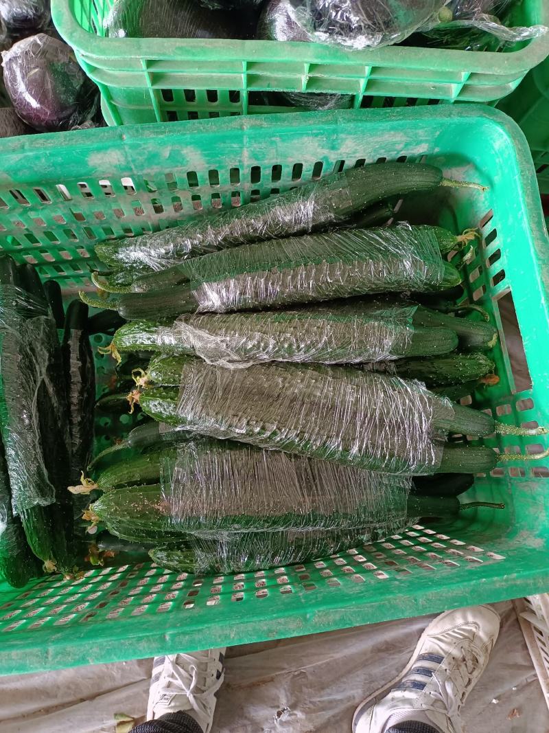 黄瓜