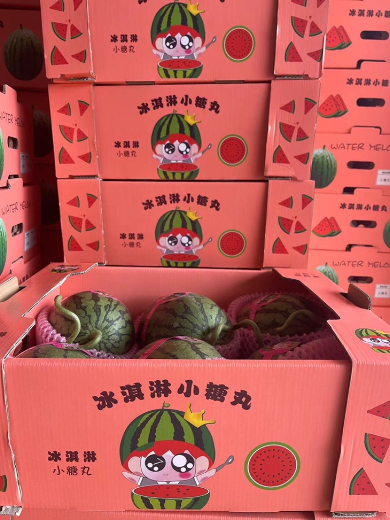 精品2k西瓜2斤打底9成熟万亩基地产地直销