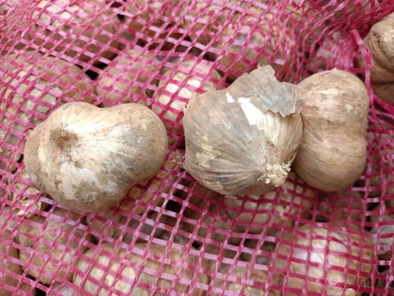云南新鲜紫皮大蒜鲜大蒜10块钱3斤模式