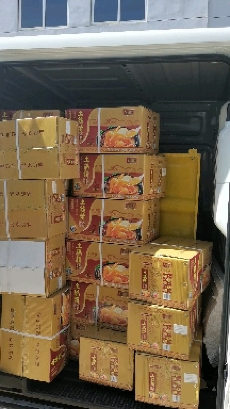 200克（带嘴包装）土鸡精/厂家直销(200克*40包)