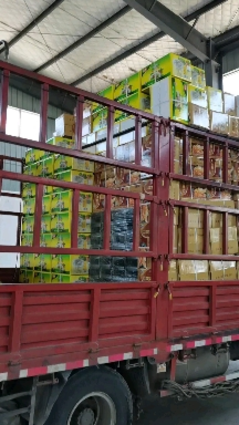 200克（带嘴包装）土鸡精/厂家直销(200克*40包)