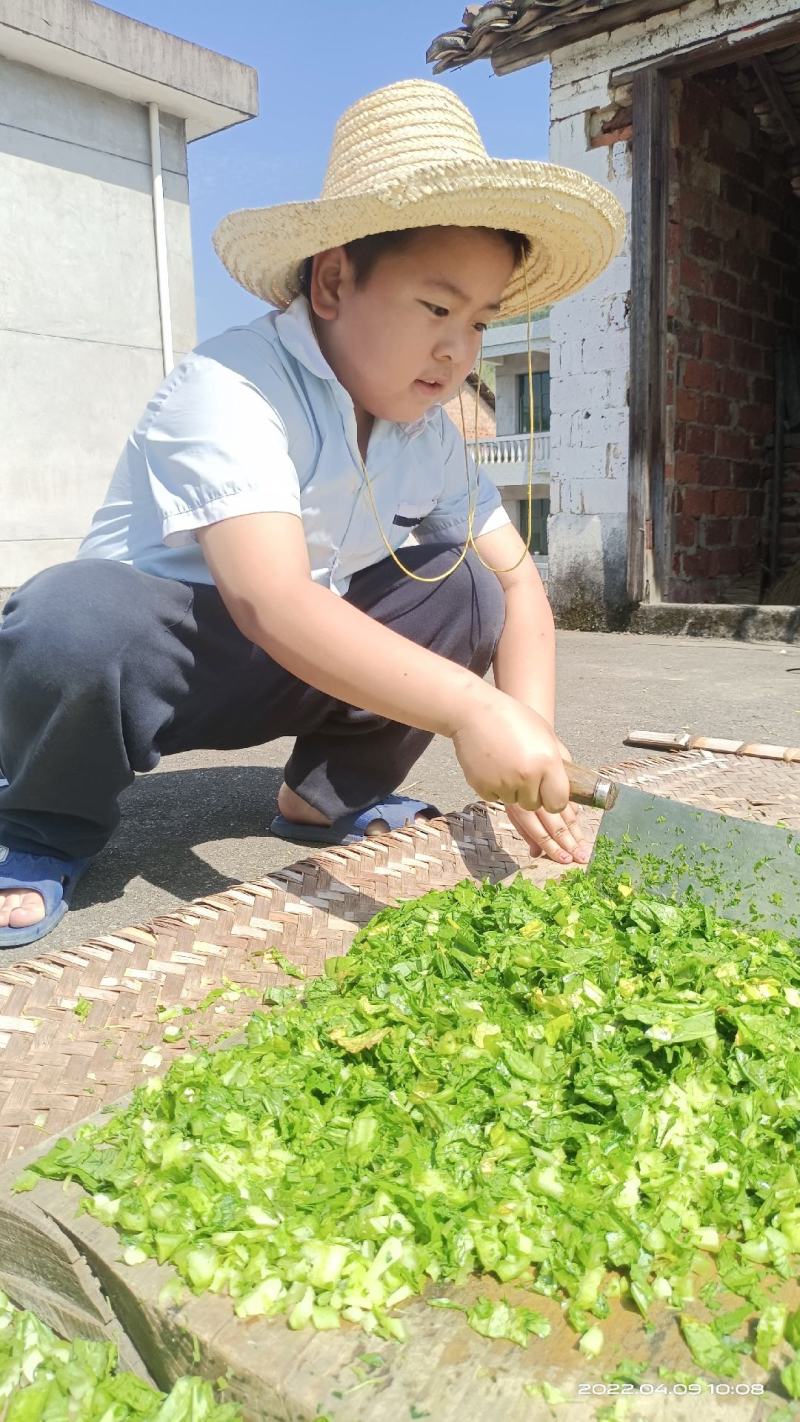 干菜