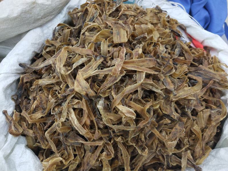 地龙蚯蚓皮原药材无硫无添加净货中药材批发零售