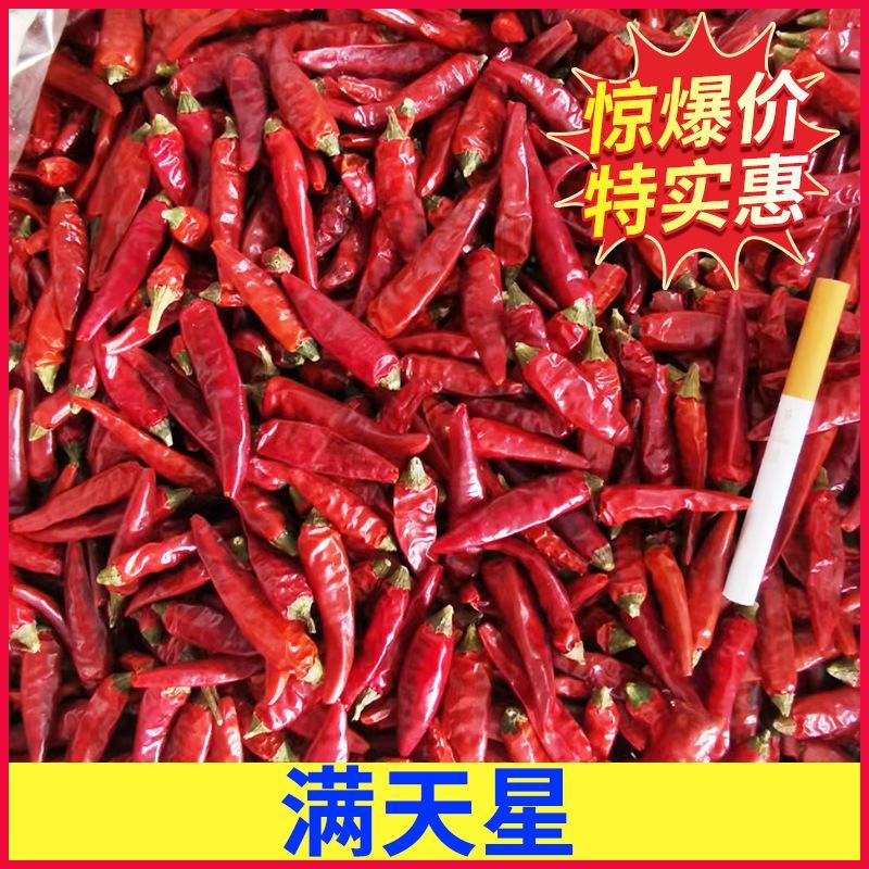 批发去帽印度椒辣椒干辣椒印度魔鬼椒涮涮辣火锅冒菜