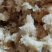 黑水虻虫卵,常年现货发售,顺丰包邮,质量保证