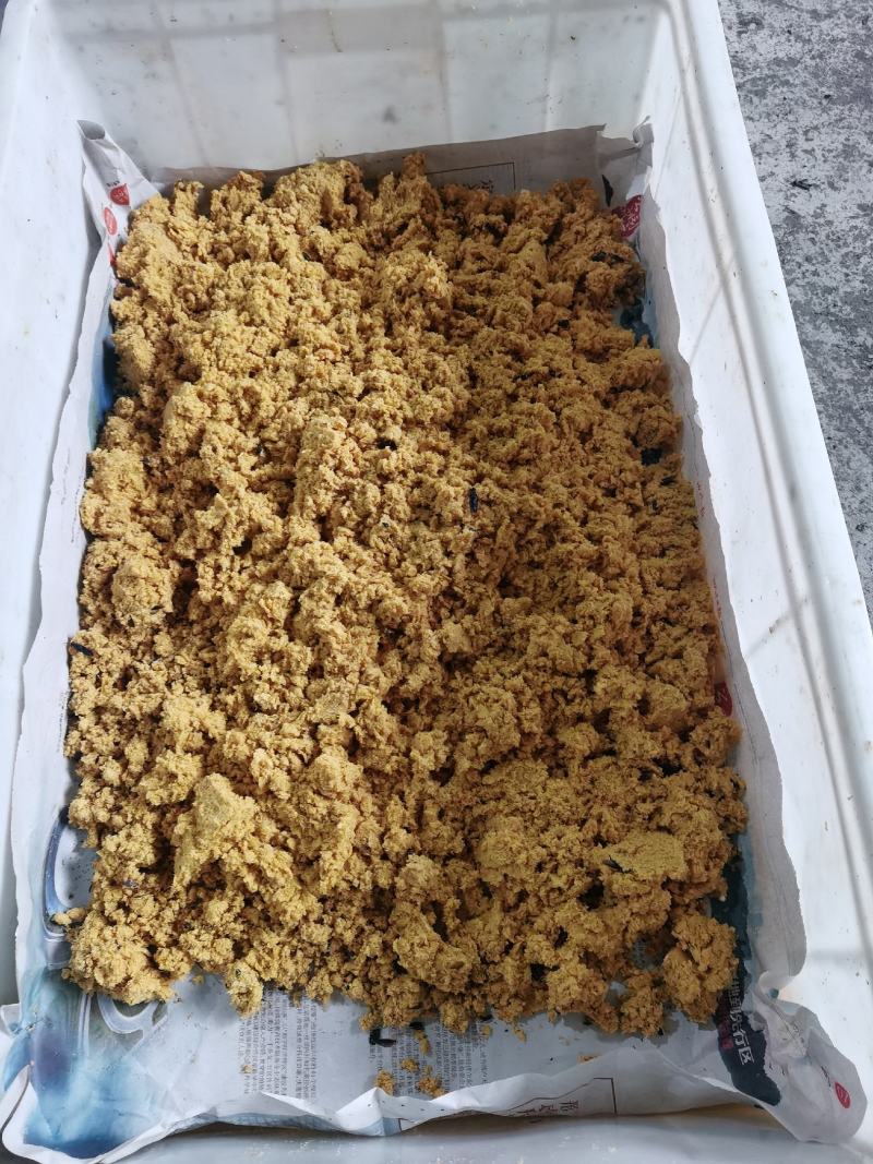 黑水虻虫卵，常年现货发售，顺丰包邮，质量保证