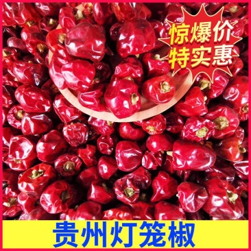批发去帽印度椒辣椒干辣椒印度魔鬼椒涮涮辣火锅冒菜