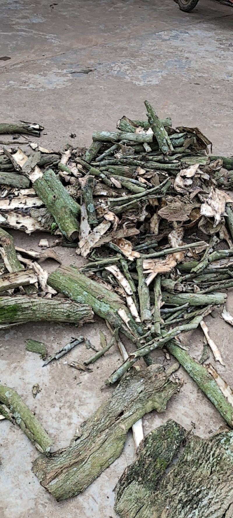 杜仲大量上市，对接各大市场，价格实惠，规格齐全