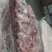 临沂沂百源食品有限公司腱子肉前腱厂家直销