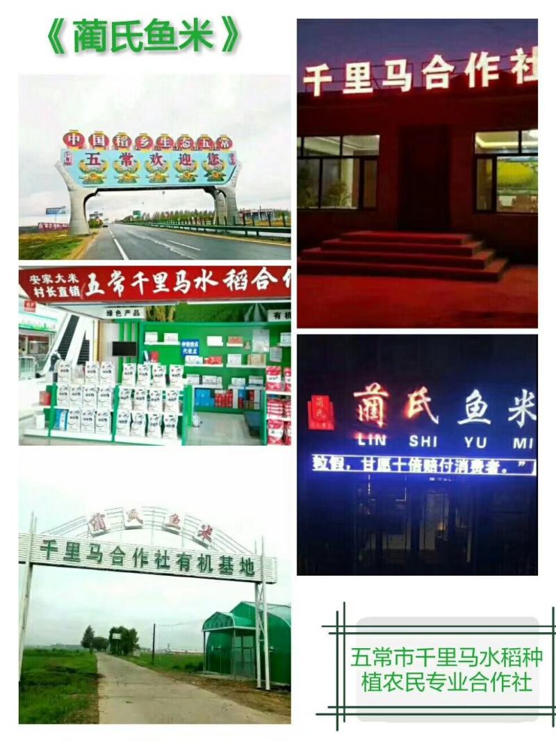 【村委会监制】东北五常稻花香2号，自产自销，正品保证
