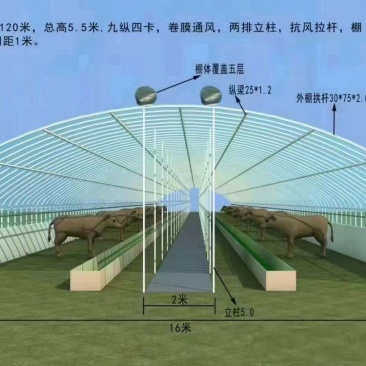 养殖大棚，种植大棚，暖棚，连体棚