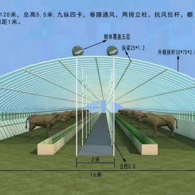 养殖大棚，种植大棚，暖棚，连体棚