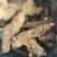 土茯苓鲜货广西野生新鲜土茯苓白色变色肉