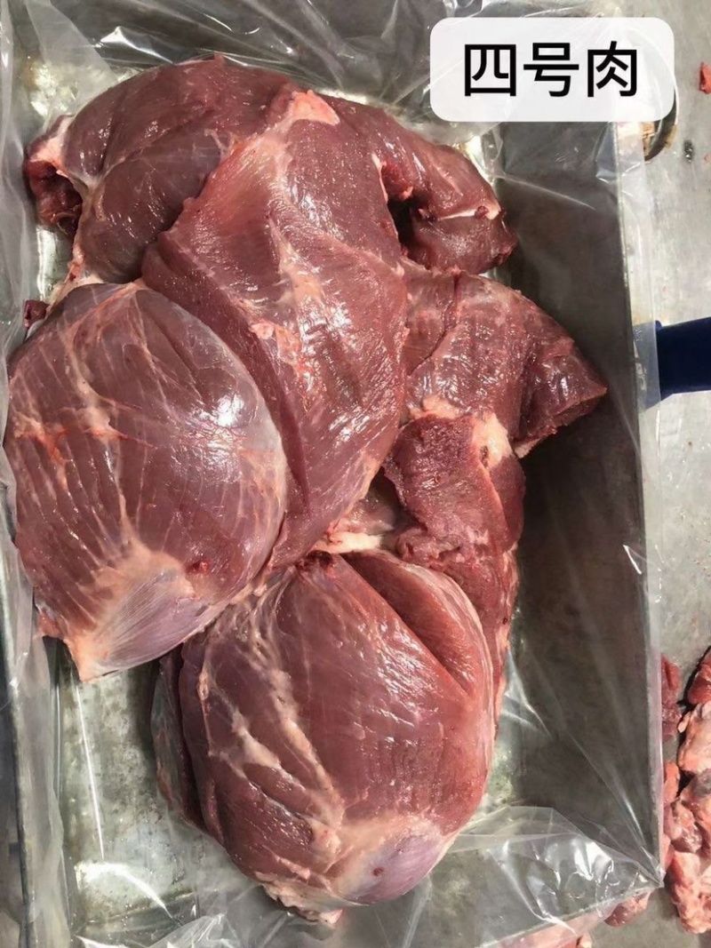 产品名称肥猪后腿肉前腿肉里脊冷鲜品质