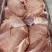 产品名称肥猪后腿肉前腿肉里脊冷鲜品质