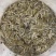 白茶头采银针回味甘甜品质保证白毫银针茶饼