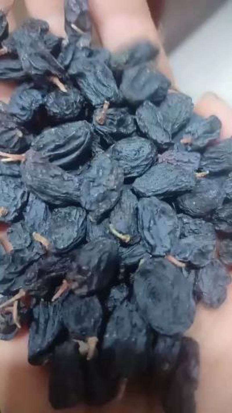 【好货精选】优质黑加仑颗粒饱满全国批发干净，只发精品