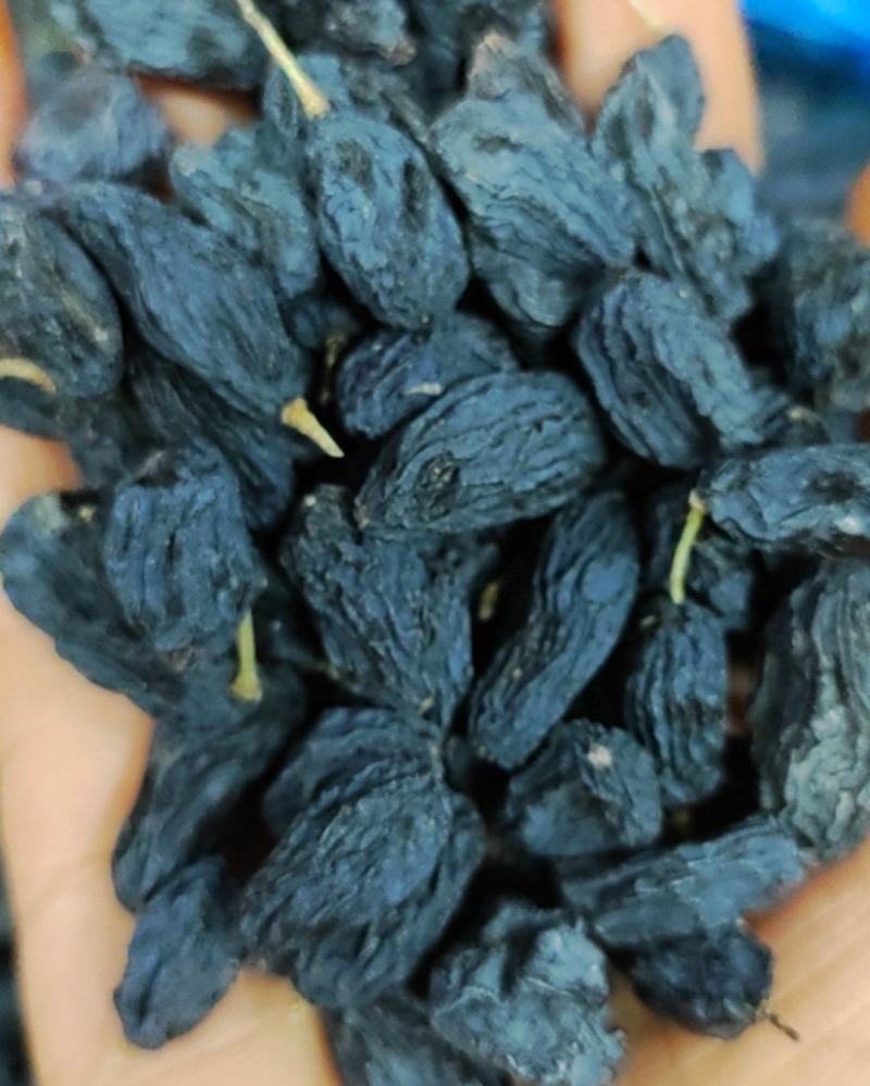 【好货精选】优质黑加仑颗粒饱满全国批发干净，只发精品