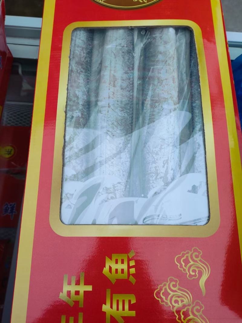 舟山帶魚大量批發