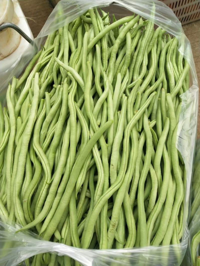 云南弥勒竹园棒豆，无筋豆大量上市中