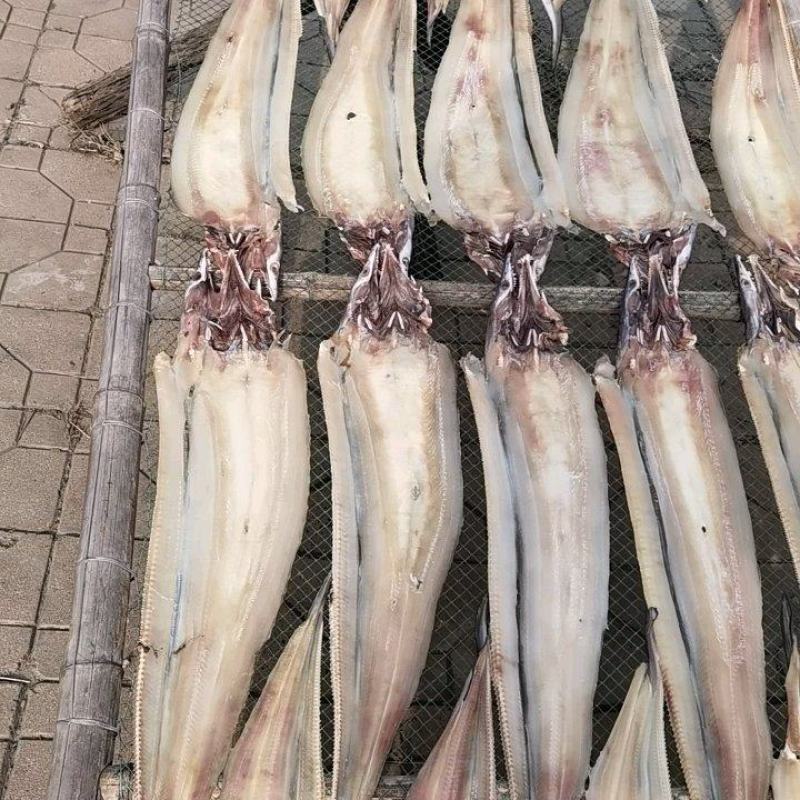 场地加工微盐鳗鱼开片鳗鱼海鳗鱼一手货源大量批发