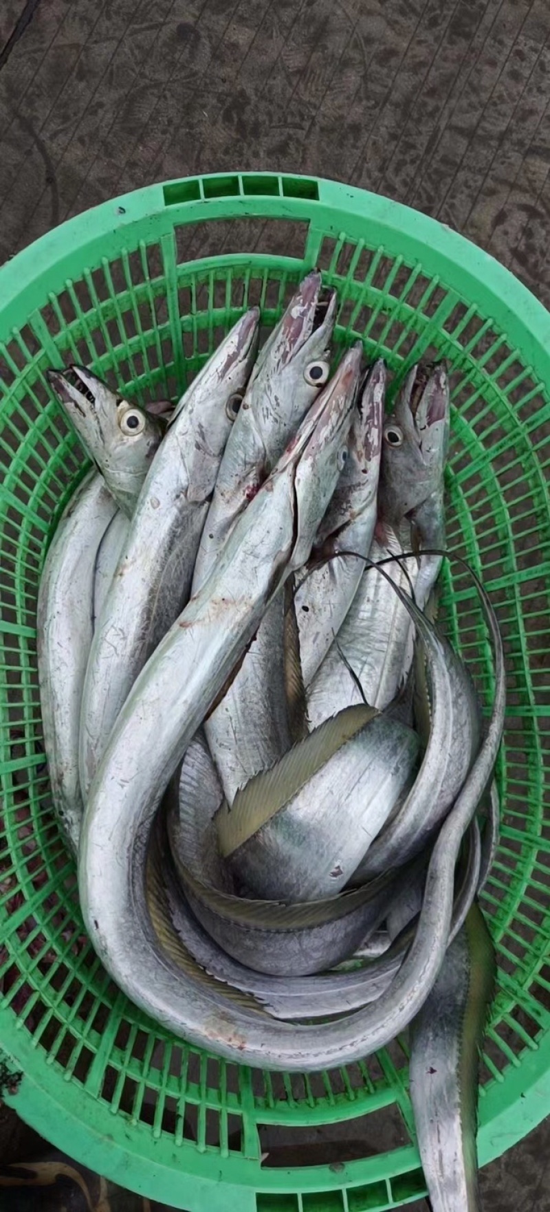 海南基地代购.各种海鲜产品，椰子.全国发货。