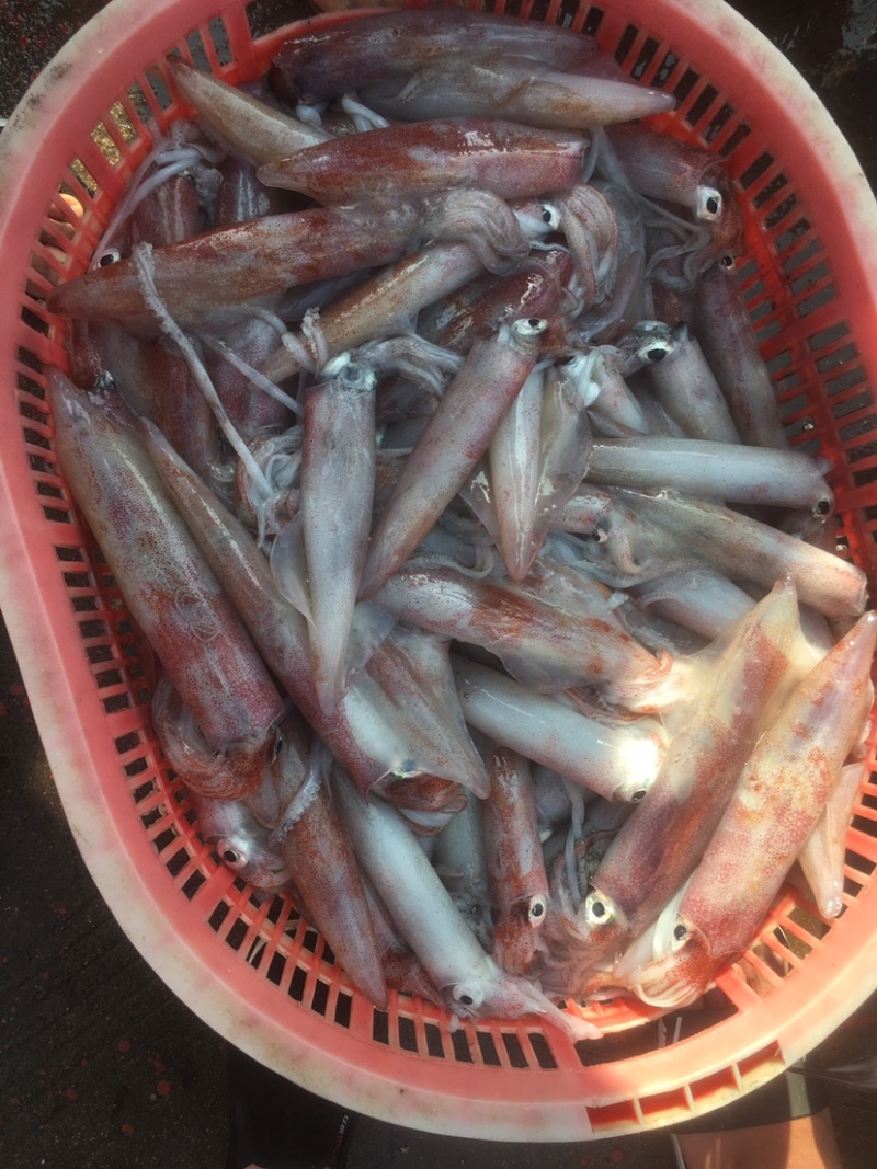 海南基地代购.各种海鲜产品，椰子.全国发货。