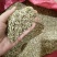 小茴香净货新货颜色好干净无杂质直供香料类当天发货