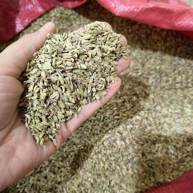小茴香净货新货颜色好干净无杂质直供香料类当天发货