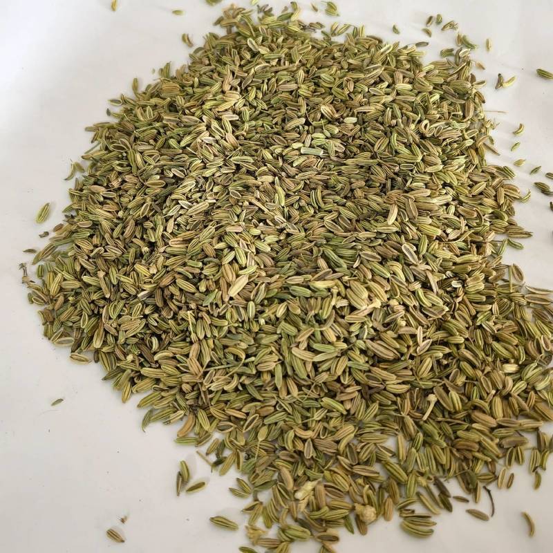 小茴香净货新货颜色好干净无杂质直供香料类当天发货
