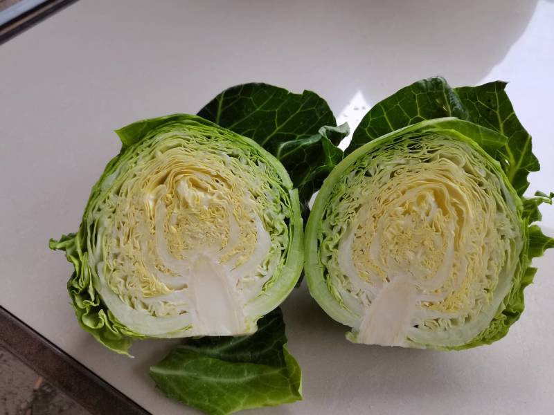 精品甘蓝质量保证全国代发可线上交易合作共赢