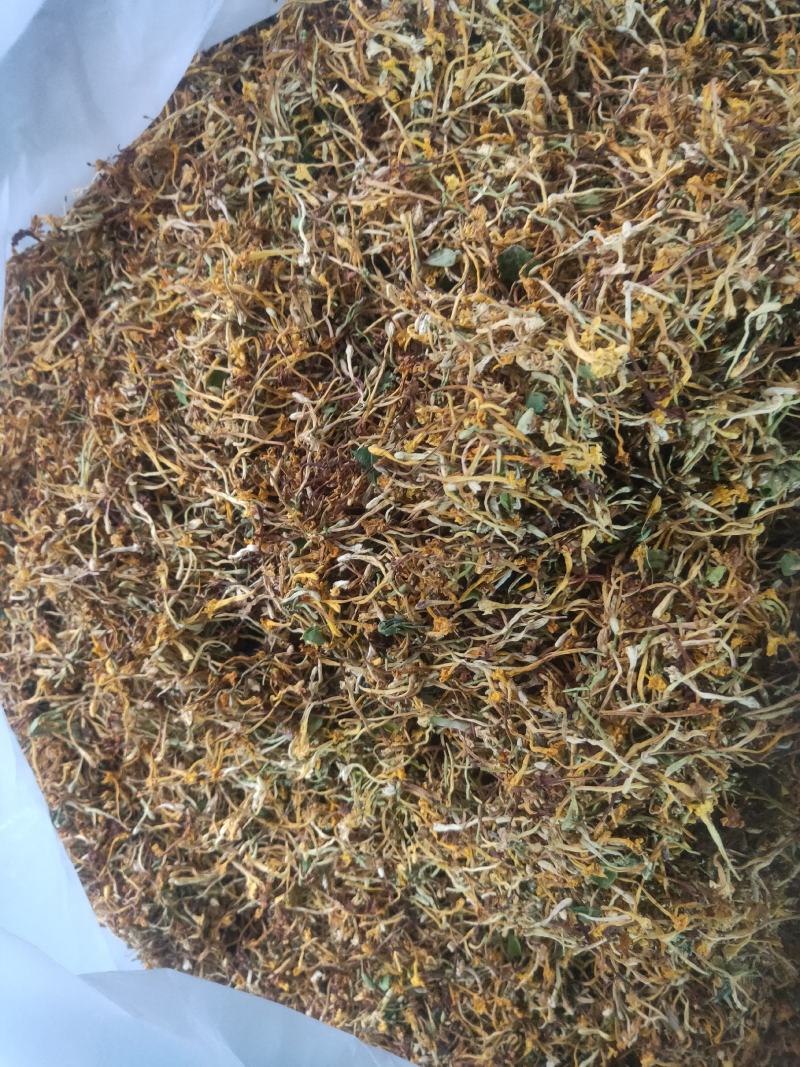 金银花