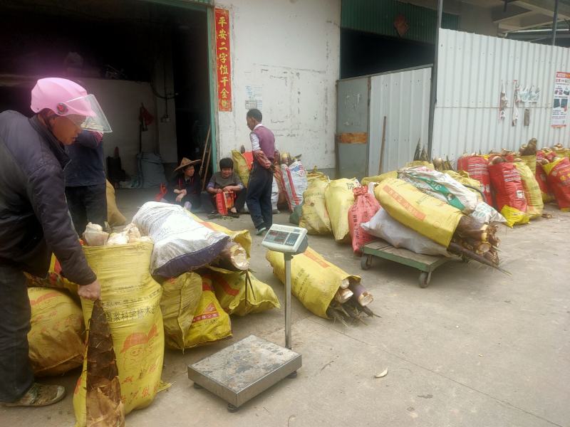 春笋新鲜春笋原材料供应速冻笋丝笋片笋丁现货批发