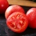 硬粉西红柿🍅精品优质番茄保证质量货源充足提供各种包
