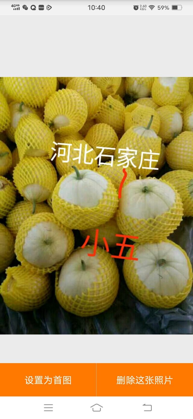 【热销中】新乐精品金典全国代发质量保证