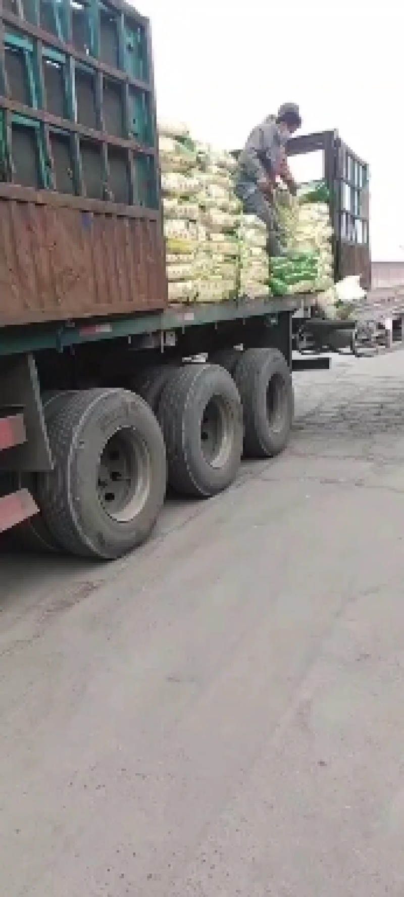 发酵腐熟羊粪肥，肥力持久，疏松土壤，提高果蔬品质