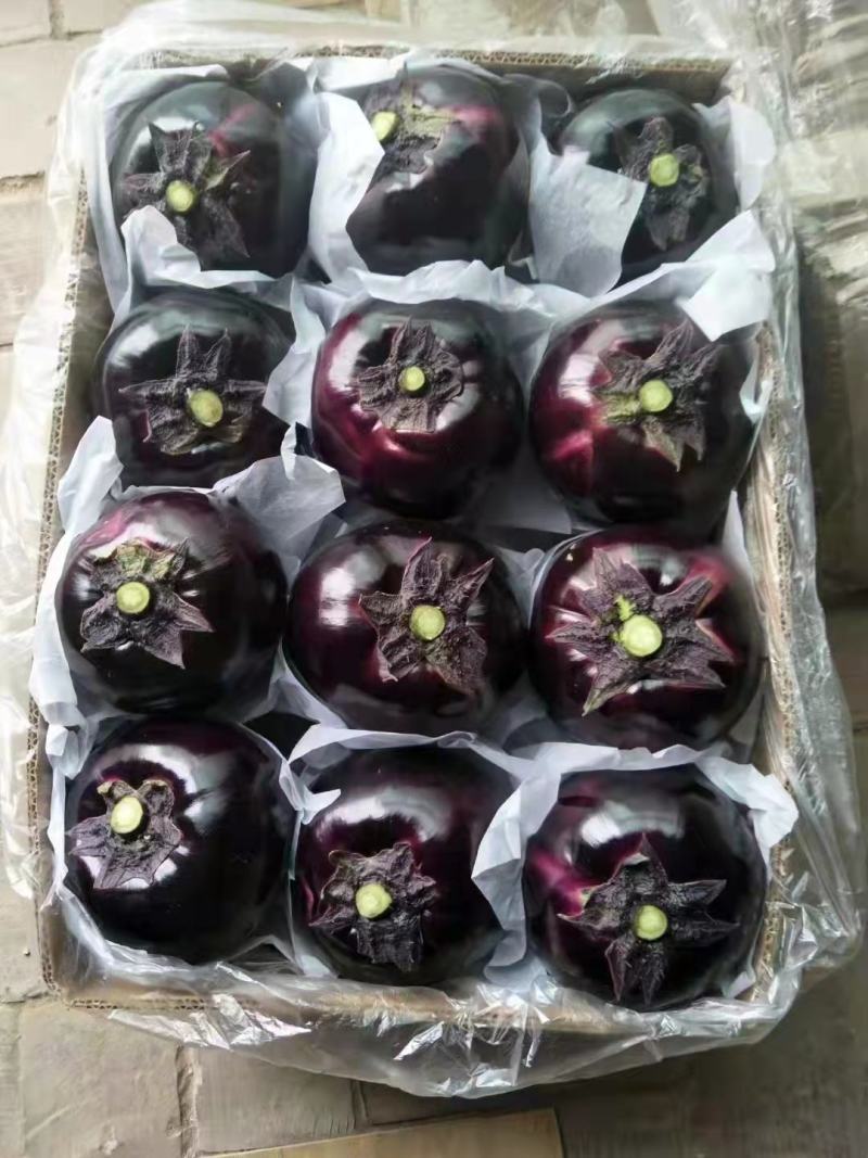 茄子圆茄紫茄大量上货了品相好味道好商超批发量大价优欢迎联