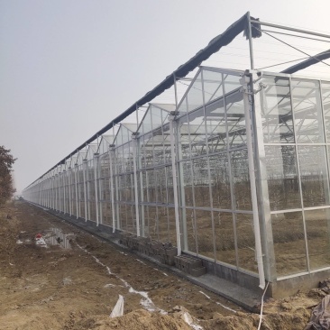 玻璃温室大棚建设新型农业智能温室餐厅纹络式连栋温室