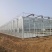 玻璃温室大棚建设新型农业智能温室餐厅纹络式连栋温室