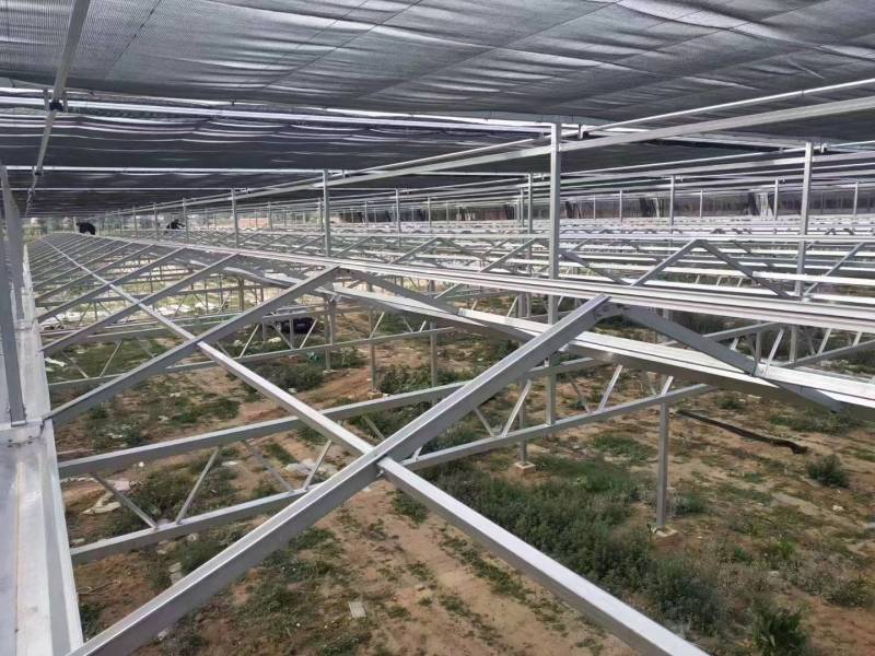 玻璃温室大棚建设新型农业智能温室餐厅纹络式连栋温室