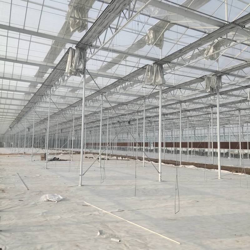 玻璃温室大棚建设新型农业智能温室餐厅纹络式连栋温室