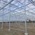 玻璃温室大棚建设新型农业智能温室餐厅纹络式连栋温室