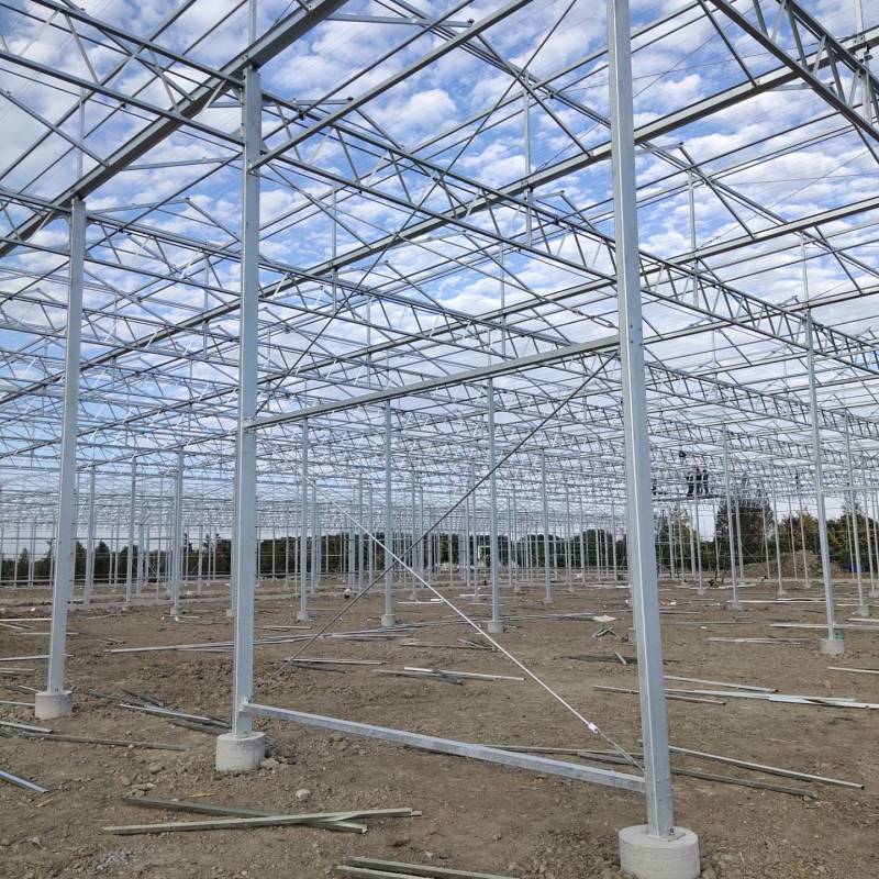 玻璃温室大棚建设新型农业智能温室餐厅纹络式连栋温室