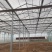 玻璃温室大棚建设新型农业智能温室餐厅纹络式连栋温室