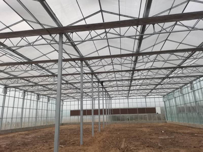 玻璃温室大棚建设新型农业智能温室餐厅纹络式连栋温室