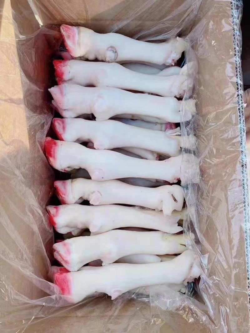 羊蹄