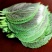 苏子叶新鲜蔬菜紫苏叶当季叶菜绿色农家现摘韩国烤肉包肉饭蘸